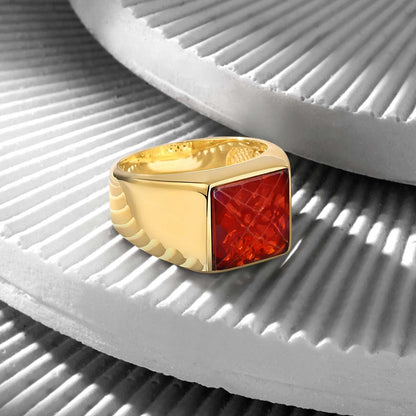 Zyan Gems | Exclusive Classic Gold Signet Statement Ring with Faceted Black Zircon/ Red Zircon, Sterling Silver  Ring | Jewellery for Men