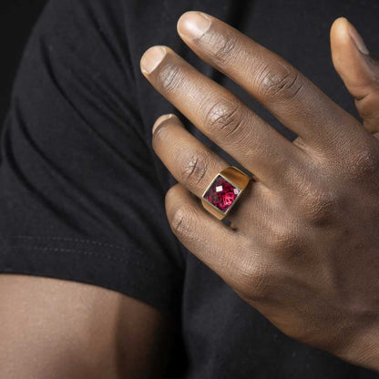 Zyan Gems | Exclusive Classic Gold Signet Statement Ring with Faceted Black Zircon/ Red Zircon, Sterling Silver  Ring | Jewellery for Men